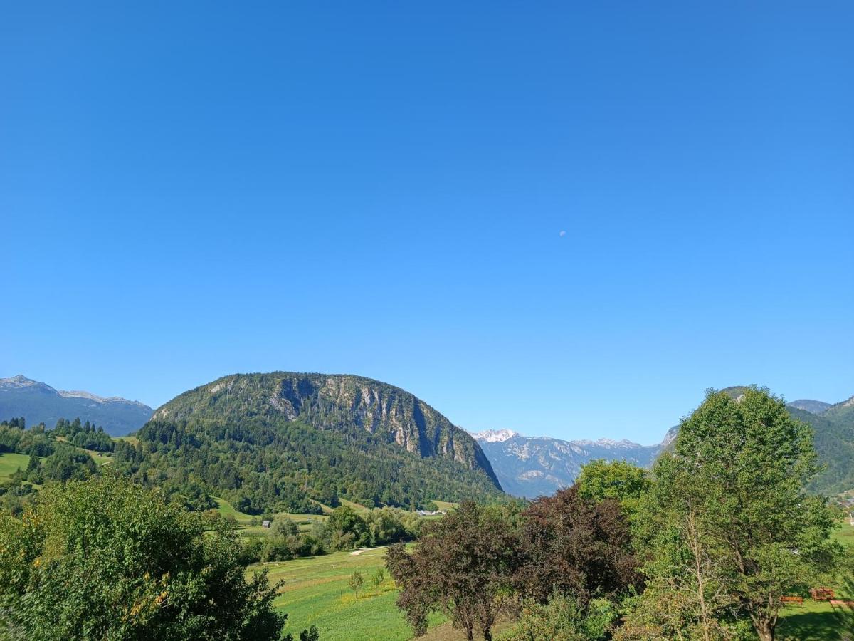 Apartmaji Hodak Bohinj Bagian luar foto
